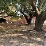Candy Brock Henderson - @crhjh - Instagram