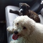 Candy y Bruce💕 - @candy_bruce0412 - Instagram