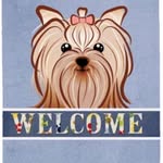 @candy_buddy_gigi - Instagram