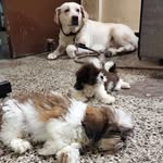 @candy_buddy_teddy23 - Instagram