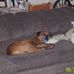 Candi Bunch - Facebook