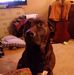 Candi Burchett - Facebook