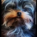 Candy Butler - @candybutler1952 - Instagram