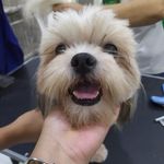 Candy Caceres - @candy.caceres.5 - Instagram
