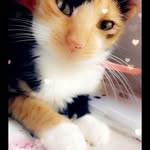 candy cáceres - @candy_caceres18 - Instagram