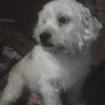 Candy Caceres Soto - @candycaceressoto - Instagram