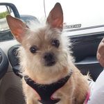 Candy Byars Cagle - @bibbylou - Instagram