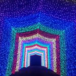Candy Cane Lane - @candycanelanecalhoun - Instagram