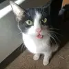 candycamacho04 - @candycamacho04 - TikTok