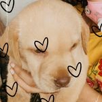 CANDY CANNON - @cutesy_candy - Instagram