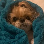 Candy Cantrell - @candycr1 - Instagram