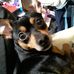 Candy Caplinger - Facebook
