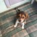 Candy Caruso - Facebook