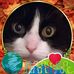 Candy Cary - Facebook