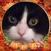 Candy Cary - Facebook