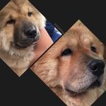 Coco_Candy_Casey - @coco_candy_casper_casey - Instagram