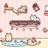 CandyCastle💕 - @candycastlecattery - TikTok