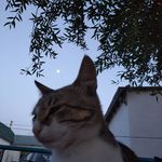 @candy_catt__ - Instagram