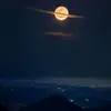 candycatt2020 - @candycatt2020 - TikTok