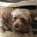 Candy Caudill - Facebook