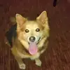 candycaudill367 - @candycaudill367 - TikTok
