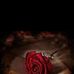 Candi Chacon - Facebook