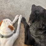 Candy & Chance - @candyboy_n_chance - Instagram