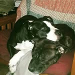 chance_and_candy - @chance_and_candy - Instagram
