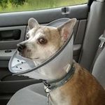 Candy Chandler - @candy.chandler.73 - Instagram