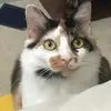 Cattychase - @candychase6 - TikTok