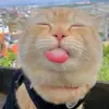 candychocolategirl - @candychocolategirl - TikTok