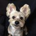 Candy Chou - Facebook