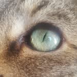 Candy Chou - @candychou7 - Instagram