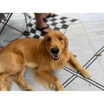 Candy Christian Miller - @mamamills5 - Instagram