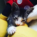candy - @candy_costaa - Instagram