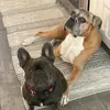 Candy Craig - @piperlolabella - TikTok
