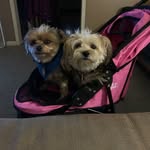 Candy Craig - @kychik62 - Instagram