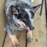 Candy Craigen - @candycraigen - Instagram