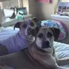 CandyAndCraig - @candyandcraig - TikTok