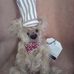 Candace Crocker - Facebook