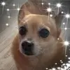 candycrocker3 - @candycrocker3 - TikTok