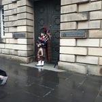 Candy Dale - @candy.dale.65 - Instagram