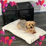 Candy Tucker Dawson - @candysuedawson - Instagram