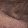 candydawson726 - @candydawsonblaz - TikTok