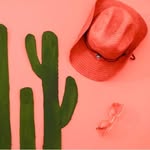 The Coral Cactus - @candy_dawson - Instagram