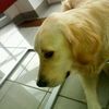 Candy.Day - @candy.day - TikTok