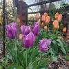 Candy Miller Dunham - @candy.miller.dunh - TikTok