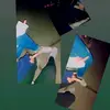 candydurand - @candydurand - TikTok