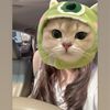 CandyCandy - @c.andyeaster - TikTok