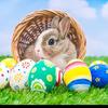 Easter is cool! 🥚 - @easter_candy - TikTok